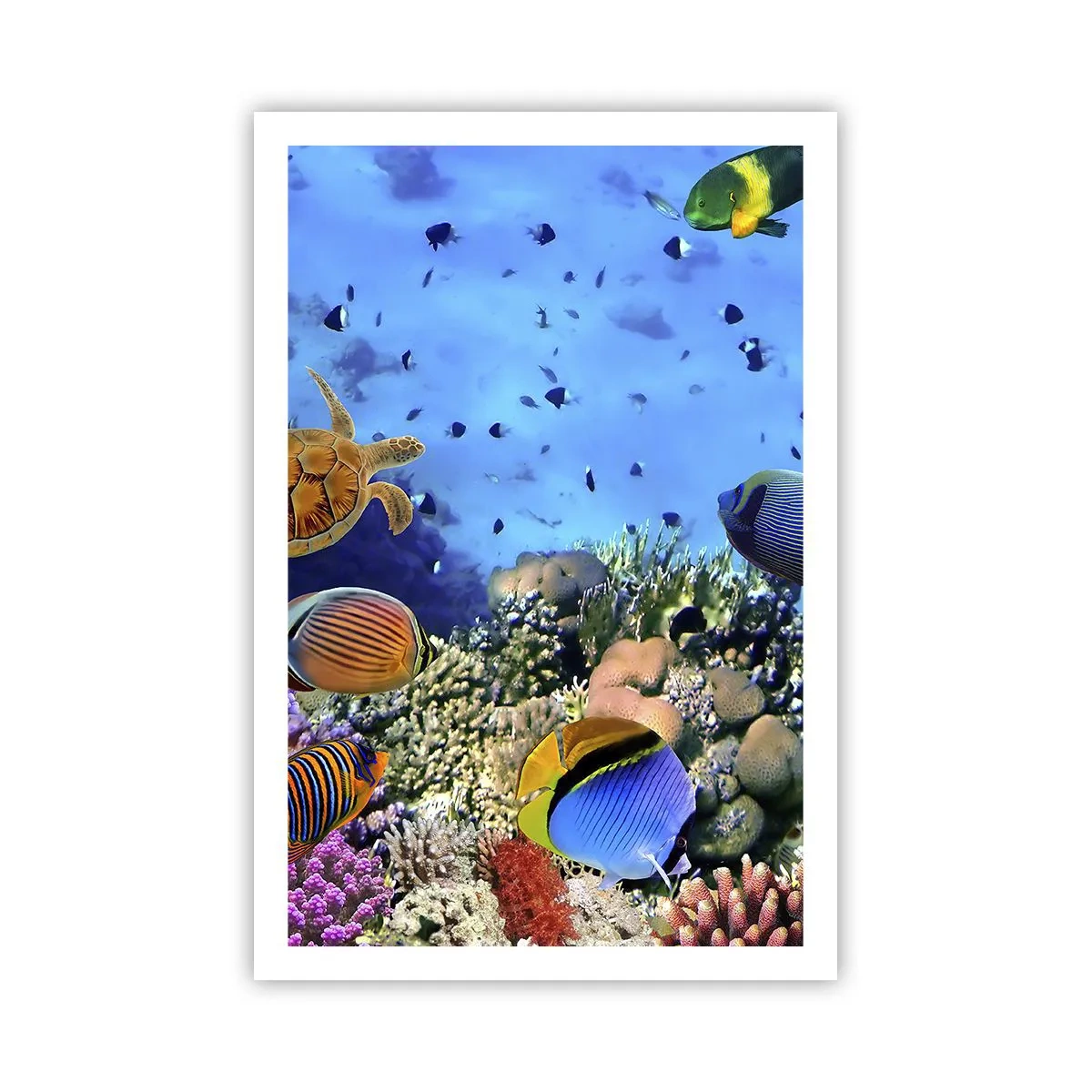 Pôster - E o que sabemos sobre a vida... - 61x91 cm