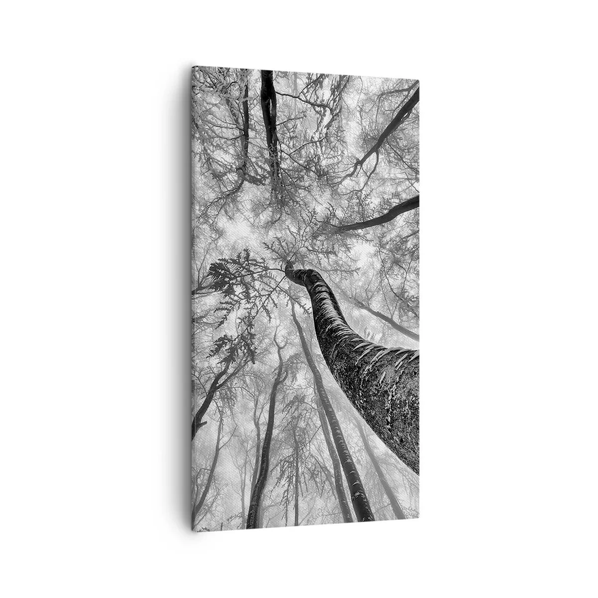 Quadro em tela - Corrida até a luz - 55x100 cm