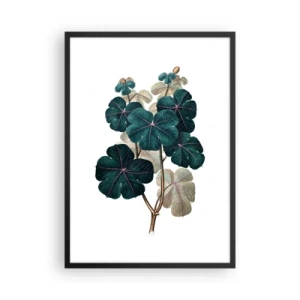 Pôster com moldura preta - Ilustração botânica com folhas verde-escuras sobre fundo claro - 50x70cm - Do antigo herbário - Decoração de parede moderna para a sala de estar e quarto ARTTOR