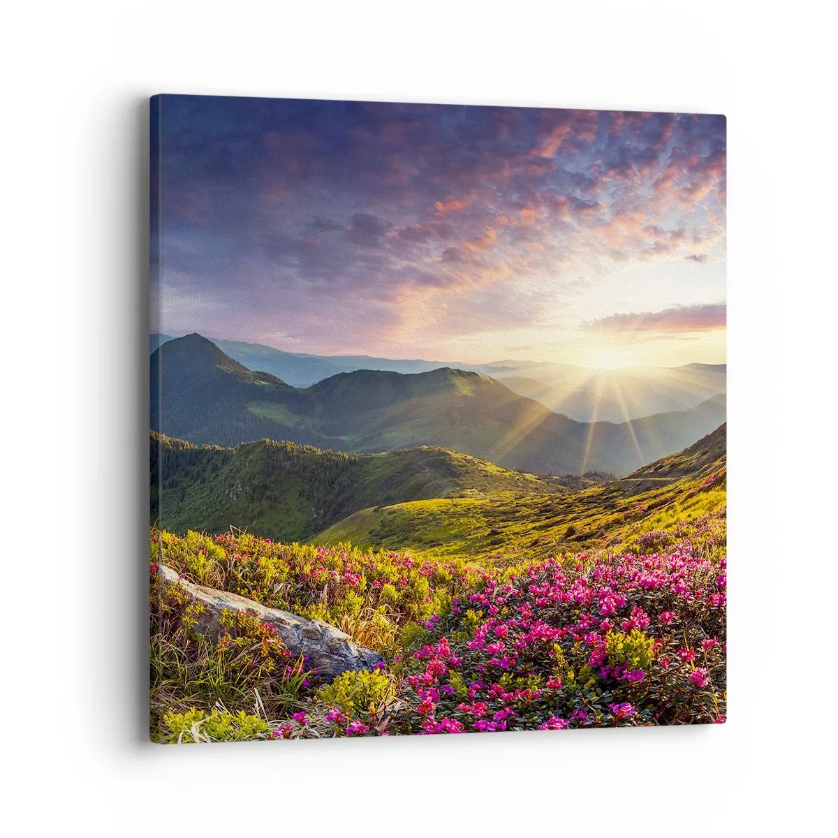 Quadro em tela - A frescura de uma manhã nas montanhas - 40x40 cm