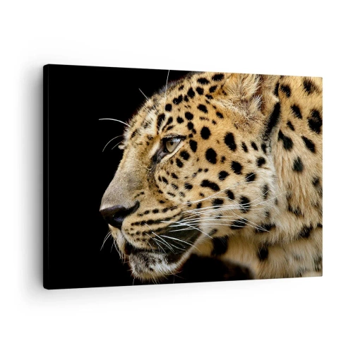 Quadro em tela - Close-up da cabeça de um leopardo contra um fundo preto - 70x50cm - Calmo, focado, pronto - Decoração de parede moderna para a sala de estar e quarto ARTTOR