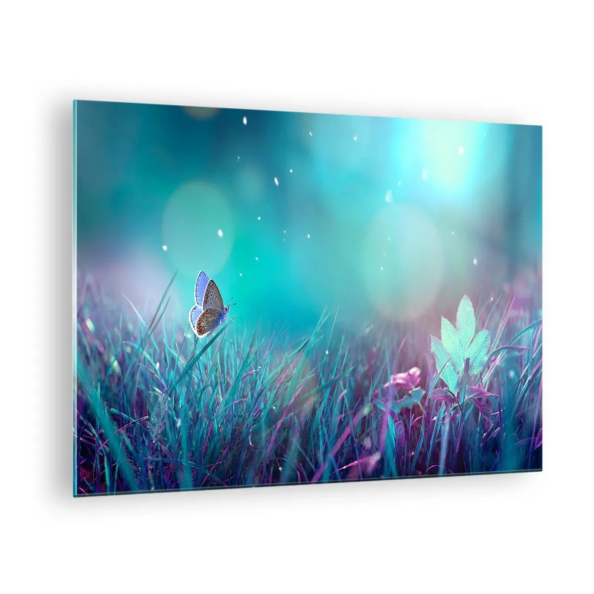 Quadro em vidro - Borboleta na grama em luz pastel - 70x50cm - A vida secreta do prado - Decoração de parede moderna para a sala de estar e quarto ARTTOR