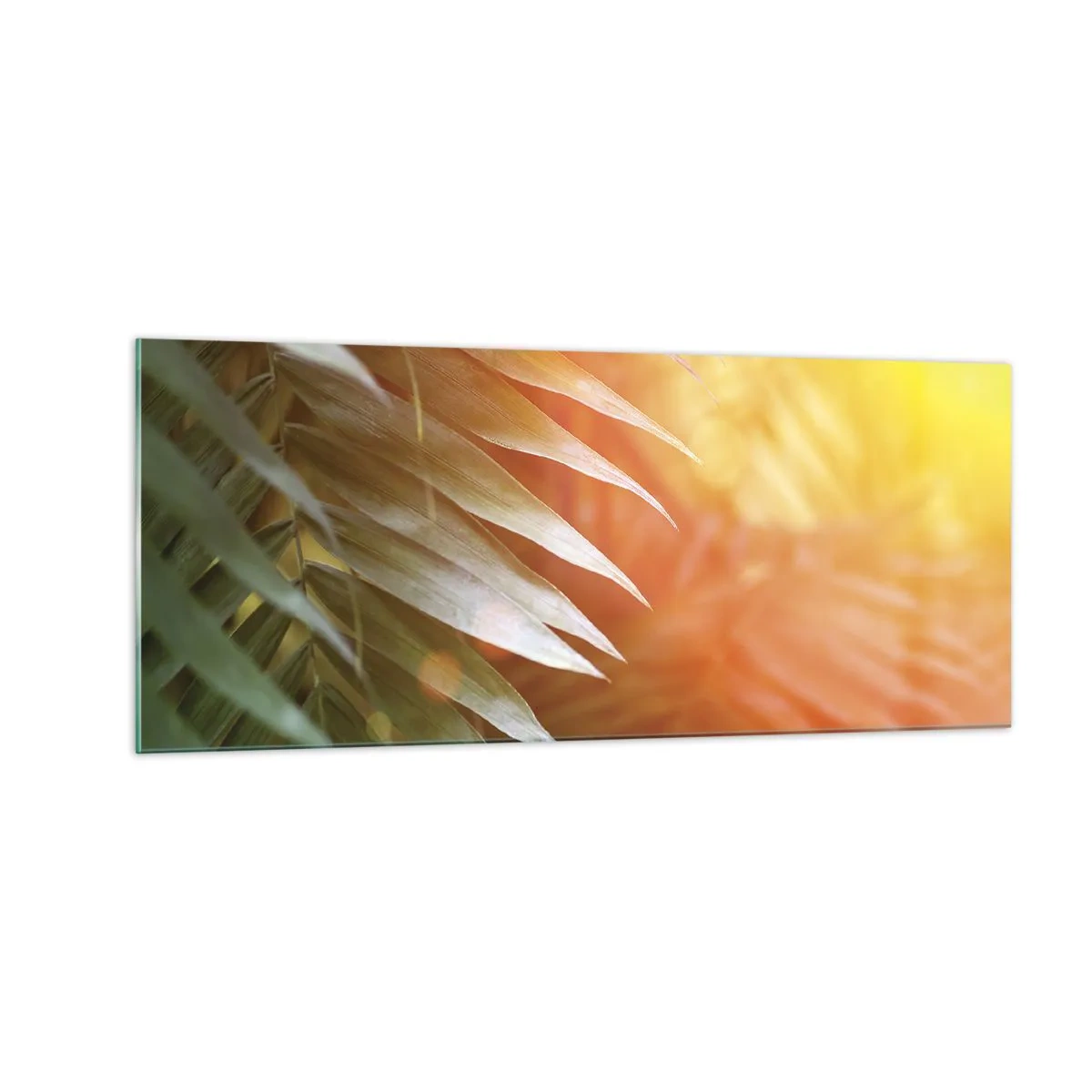 Quadro em vidro - Manhã na selva - 100x40 cm