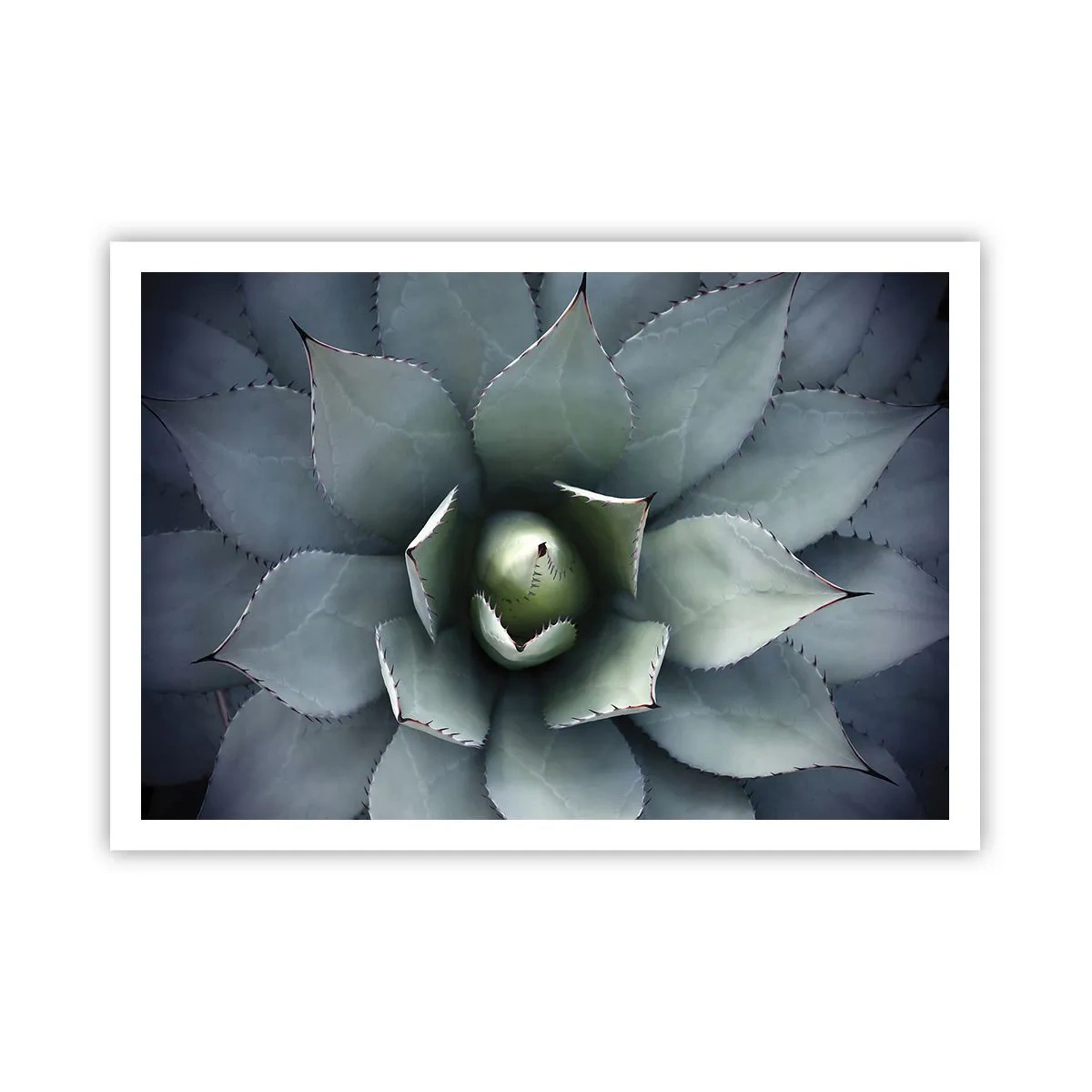 Pôster - Atrai e adverte - 100x70 cm