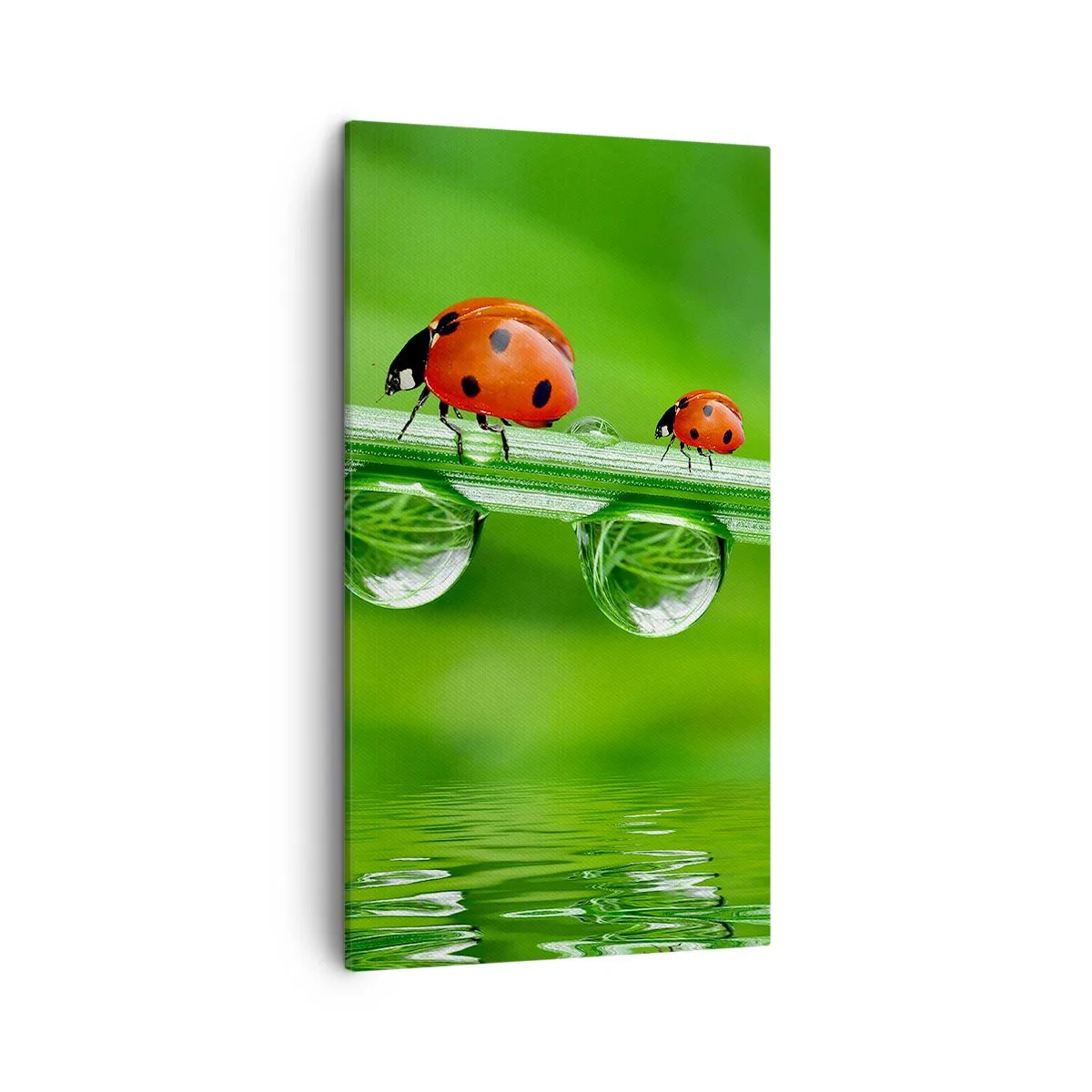 Quadro em tela - Estrada do verão - 45x80 cm