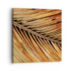 Quadro em tela - Ouro de coco - 30x30 cm