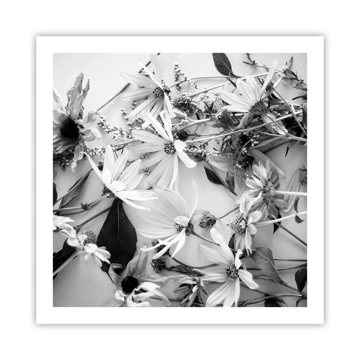 Pôster - Não é um ramo de flores - 60x60 cm