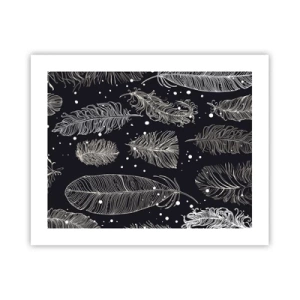 Pôster - Rendas de penas - 50x40 cm