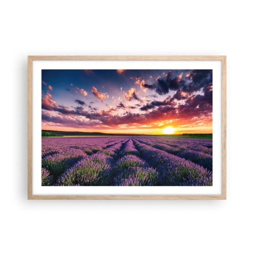 Pôster com moldura de carvalho claro - O mundo da lavanda - 70x50 cm