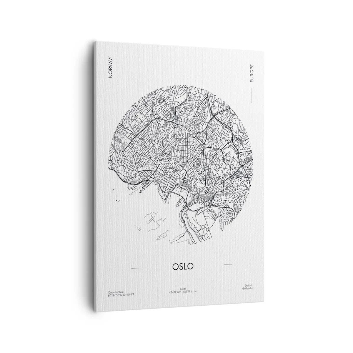 Quadro em tela - Anatomia de Oslo - 50x70 cm