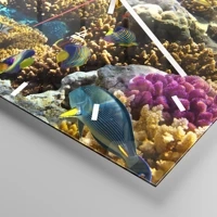 Mostrador com traços