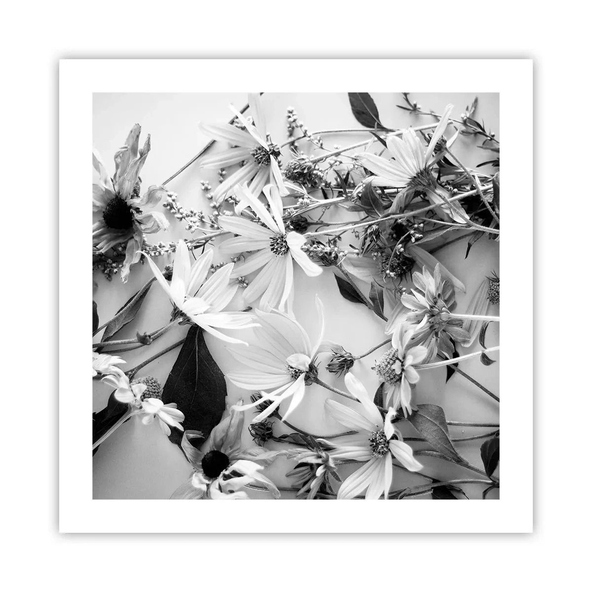 Pôster - Não é um ramo de flores - 50x50 cm
