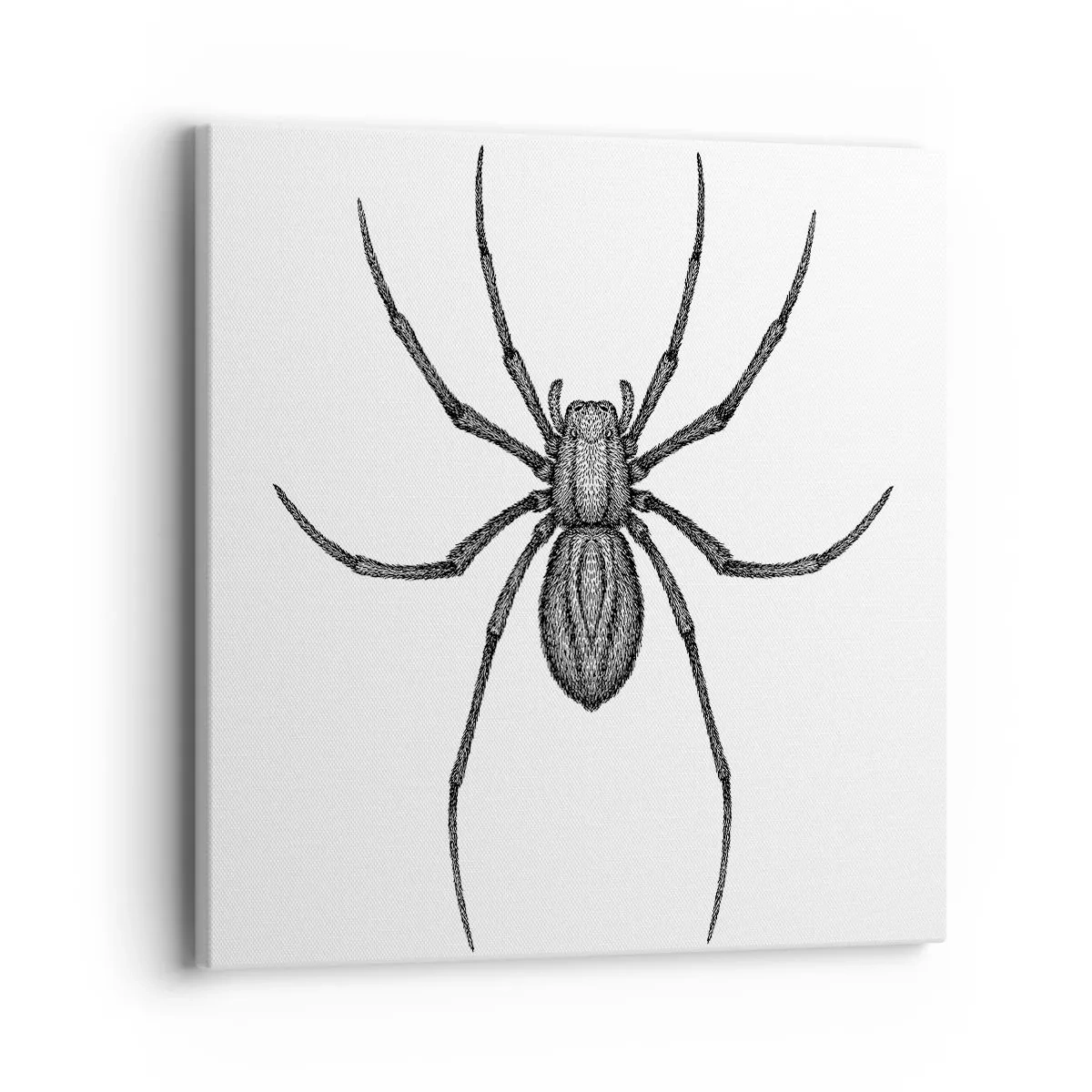 Quadro em tela - Precisão perturbadora - 40x40 cm