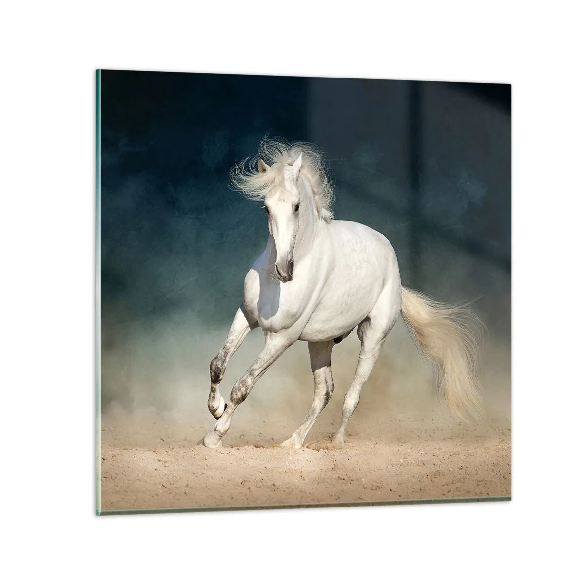 Quadro em vidro - Liberdade em seu estado puro - 70x70 cm