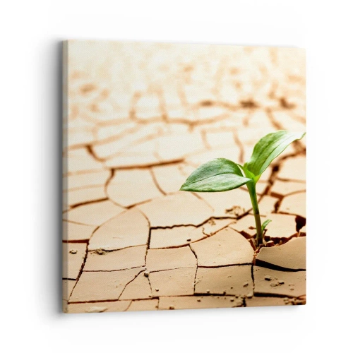 Quadro em tela - A força indomável da vida - 30x30 cm