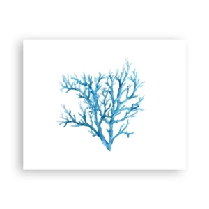 Pôster - Filigrana náutica - 50x40 cm