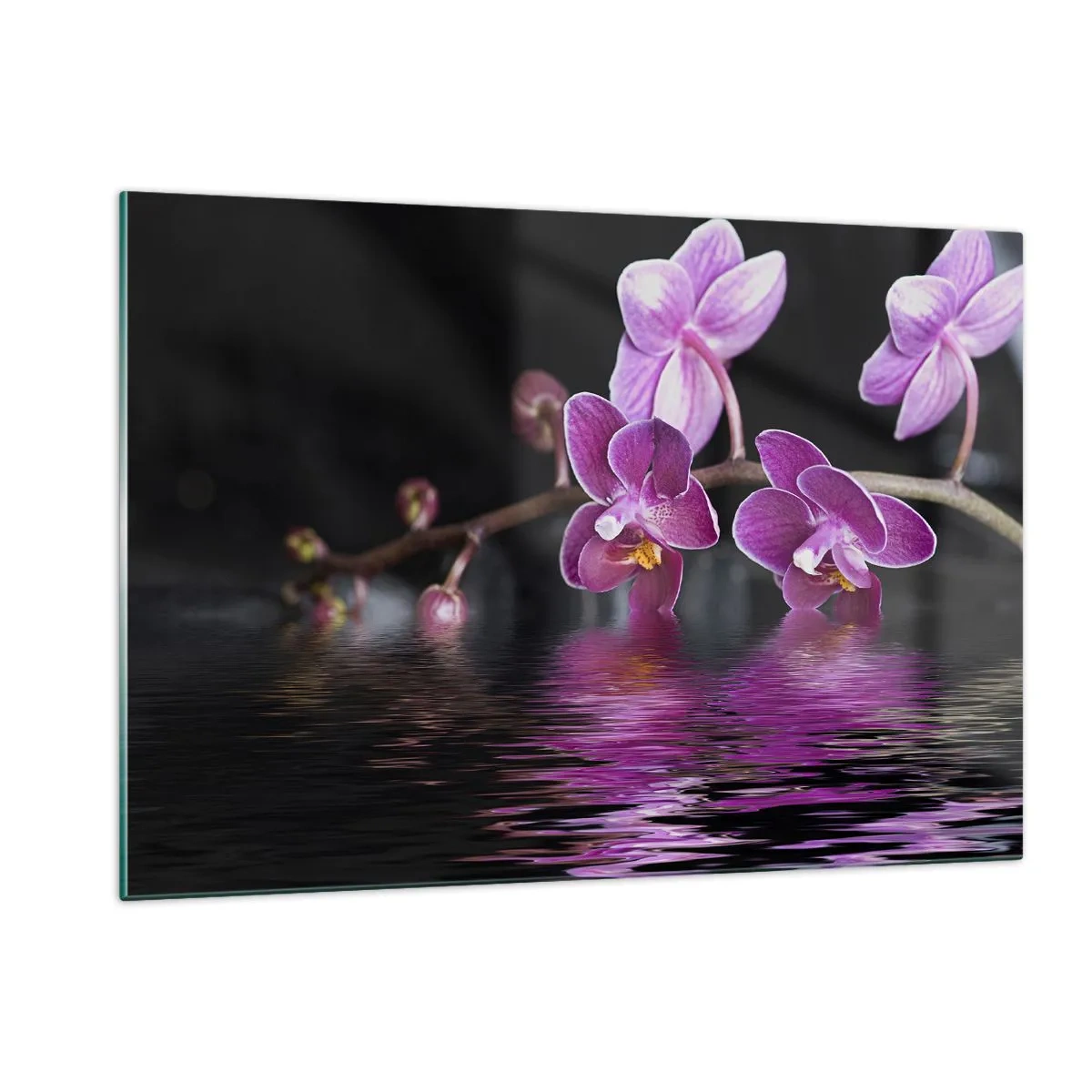 Quadro em vidro - Reflexo lilás da beleza - 120x80 cm