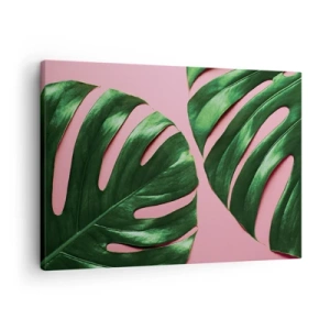 Quadro em tela - Folhas verdes de monstera em um fundo rosa - 70x50cm - Encontro verde - Decoração de parede moderna para a sala de estar e quarto ARTTOR