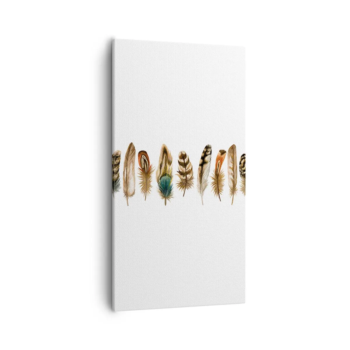 Quadro em tela - Variações de penas - 55x100 cm