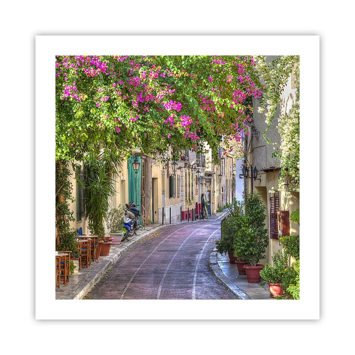 Pôster - Beco florido - 50x50 cm
