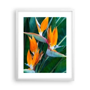 Pôster em moldura branca - É uma flor ou é um pássaro? - 40x50 cm