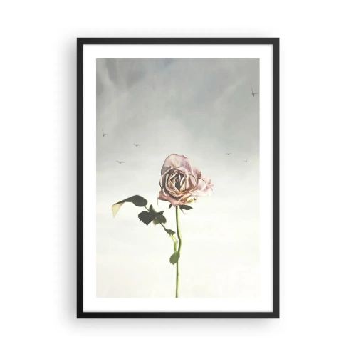Pôster com moldura preta - Uma rosa sutil contra um céu delicado - 50x70cm - Boas-vindas da primavera  - Decoração de parede moderna para a sala de estar e quarto ARTTOR
