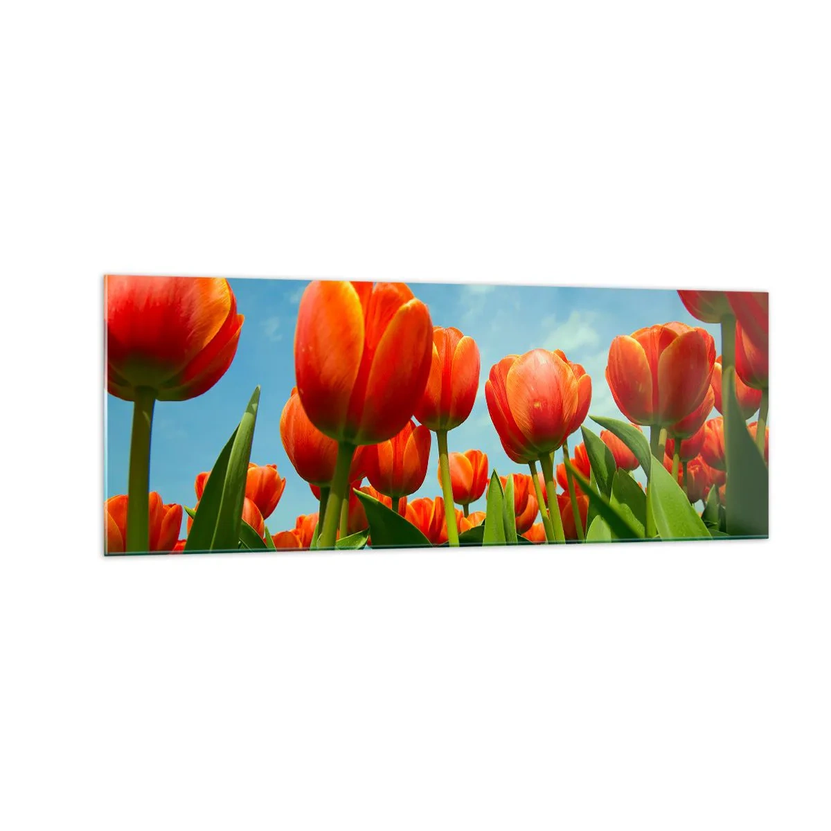 Quadro em vidro - Além do céu azul, nada mais é necessário na vida - 140x50 cm