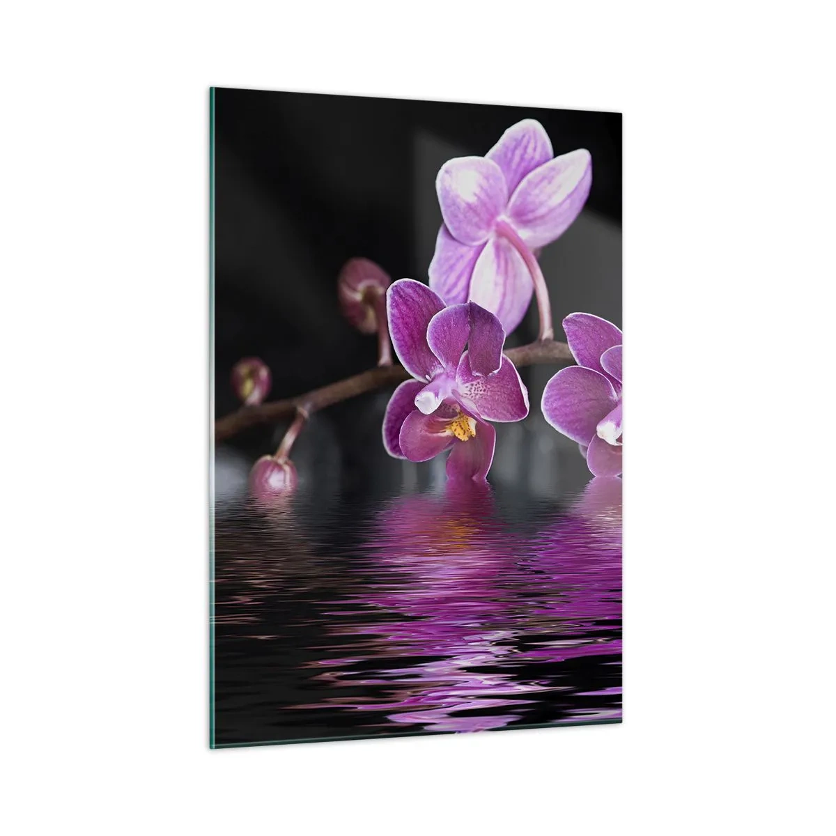 Quadro em vidro - Reflexo lilás da beleza - 50x70 cm