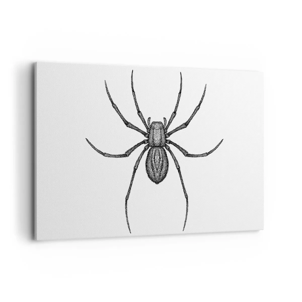 Quadro em tela - Precisão perturbadora - 100x70 cm