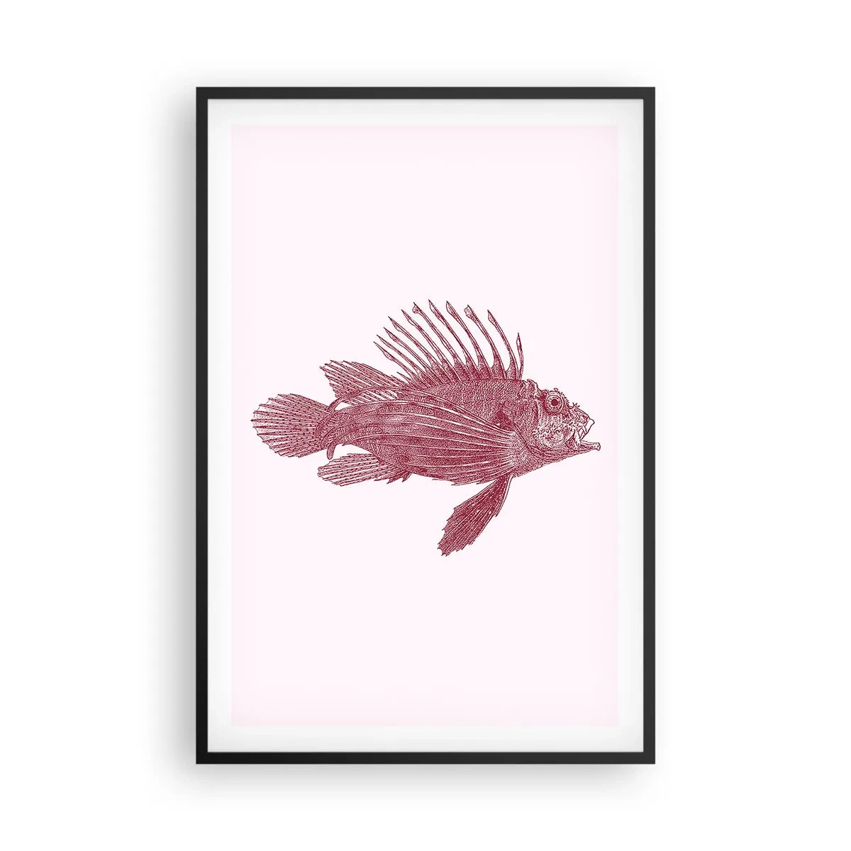 Pôster com moldura preta - Um habitante de águas exóticas - 61x91 cm