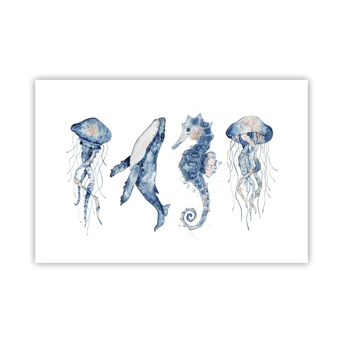 Pôster - Maravilhas do mar - 91x61 cm