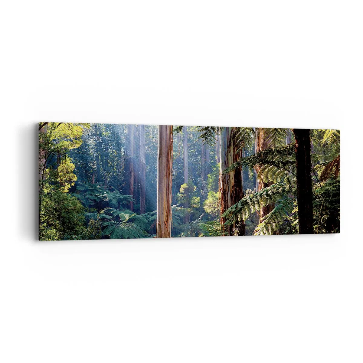 Quadro em tela - Um conto de fadas da floresta - 90x30 cm