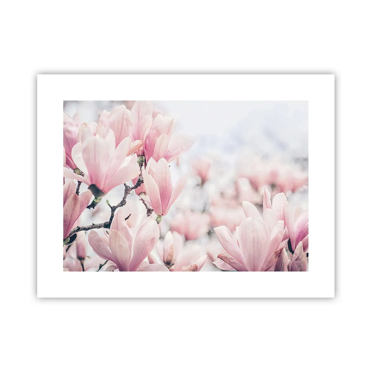 Pôster - O ideal da subtileza - 40x30 cm