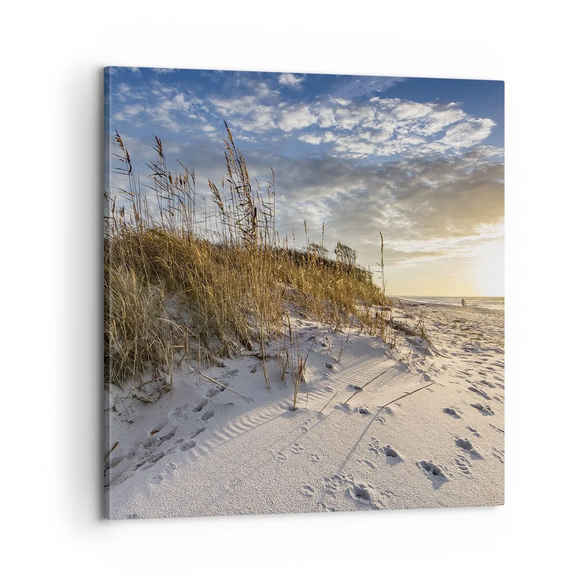 Quadro em tela - Um convite para um passeio - 60x60 cm