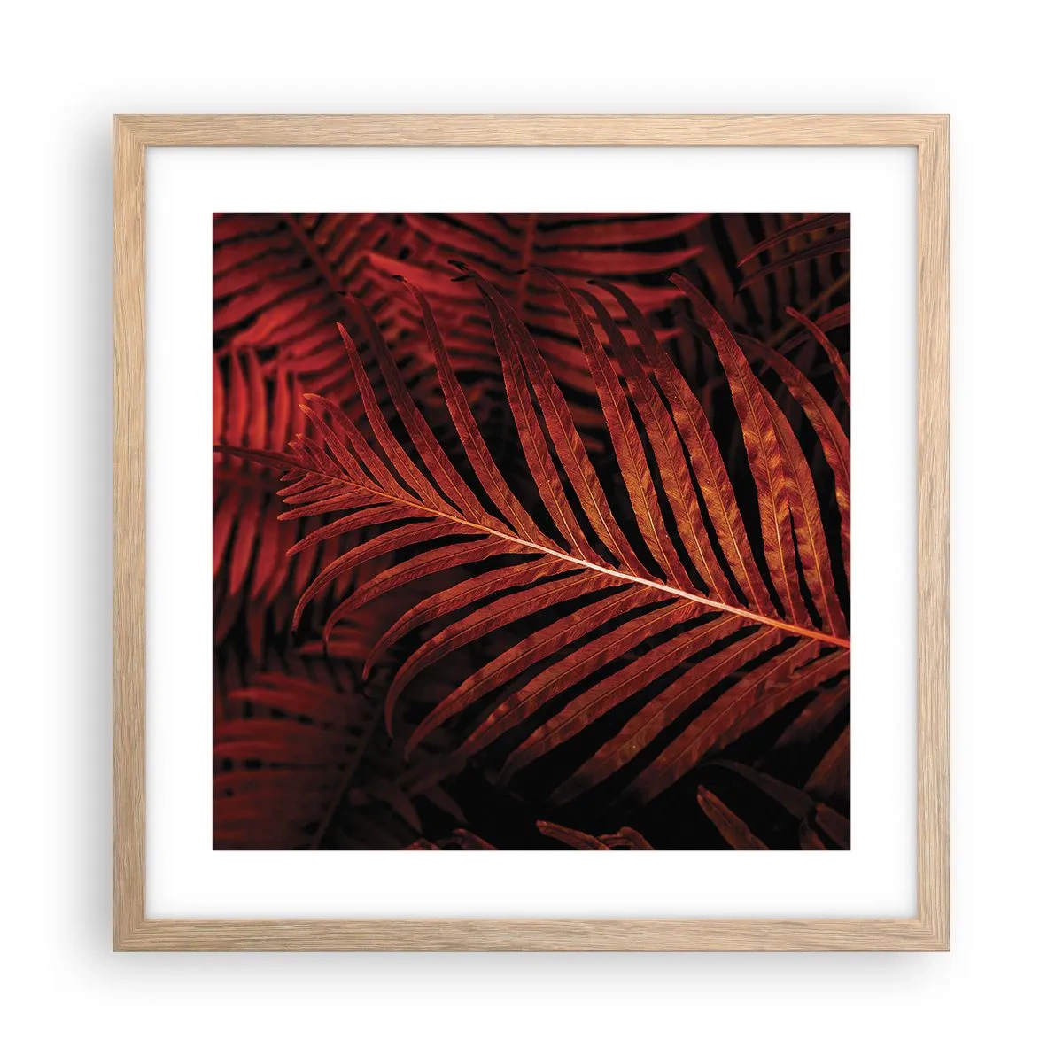 Pôster com moldura de carvalho claro - O calor da vida - 40x40 cm