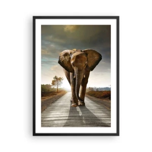 Pôster com moldura preta - Um elefante caminhando pela estrada ao pôr do sol - 50x70cm - Não faz parte da composição da porcela - Decoração de parede moderna para a sala de estar e quarto ARTTOR