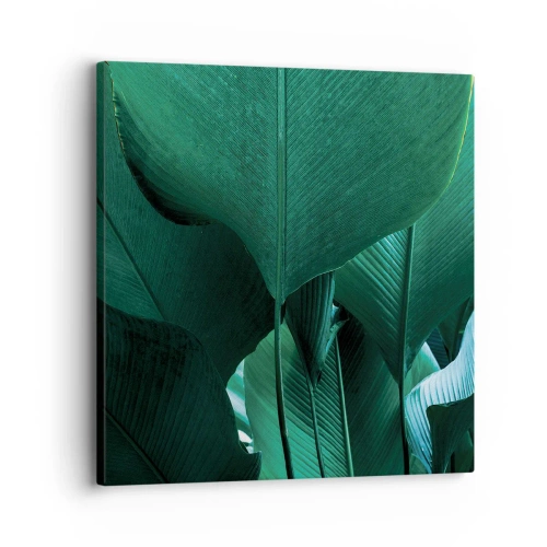 Quadro em tela - De frente para a luz - 30x30 cm