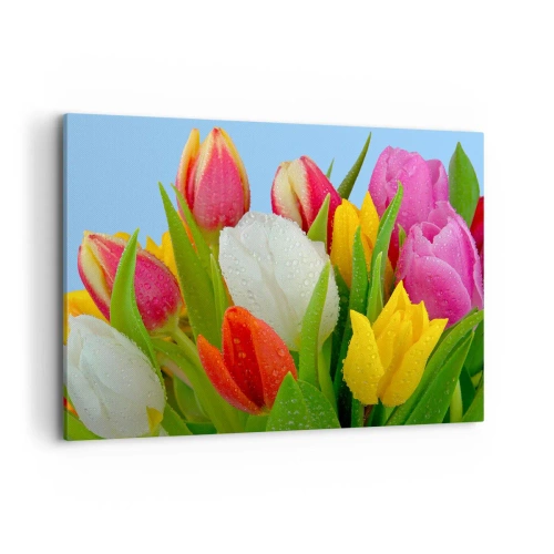 Quadro em tela - Arco-íris floral em gotas de orvalho - 100x70 cm