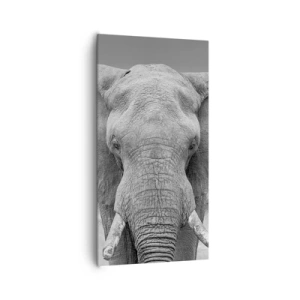 Quadro em tela - Bem-vindo ao meu mundo - 65x120 cm