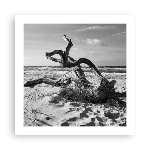 Pôster - Escultura do mar - 50x50 cm