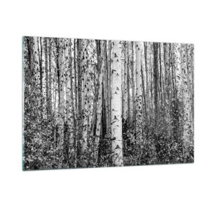 Quadro em vidro - Colunata de bétula - 120x80 cm