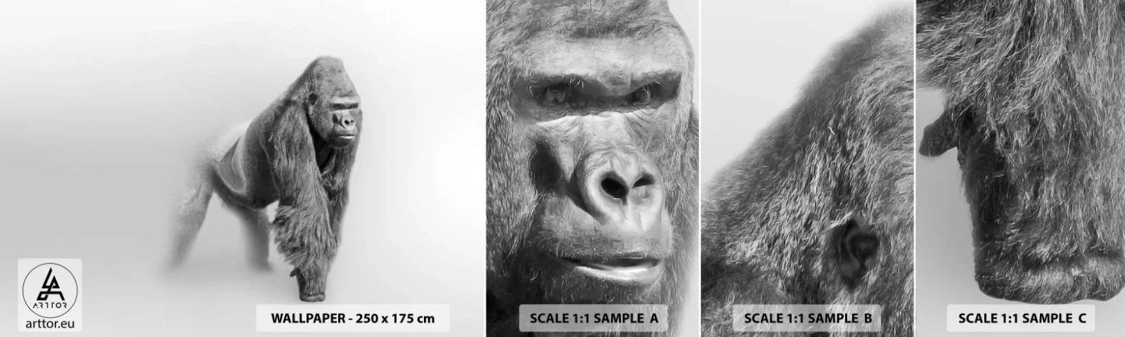 Amostra de papel de parede autocolante Deluxe Sticker - Confiante na sua força - Animais, Gorila, Macaco - 100x30 cm