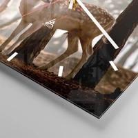 Mostrador com traços