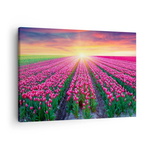 Quadro em tela - Um campo de tulipas ao pôr do sol - 70x50cm - Quinta da Beleza - Decoração de parede moderna para a sala de estar e quarto ARTTOR