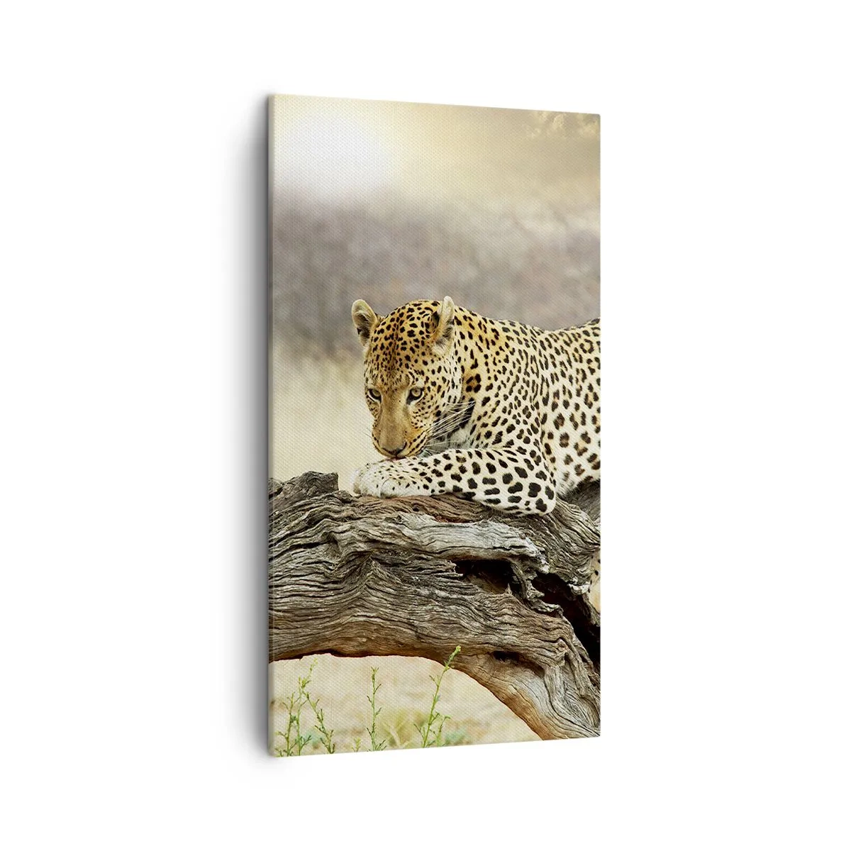 Quadro em tela - Eu sigo o meu próprio caminho - 45x80 cm