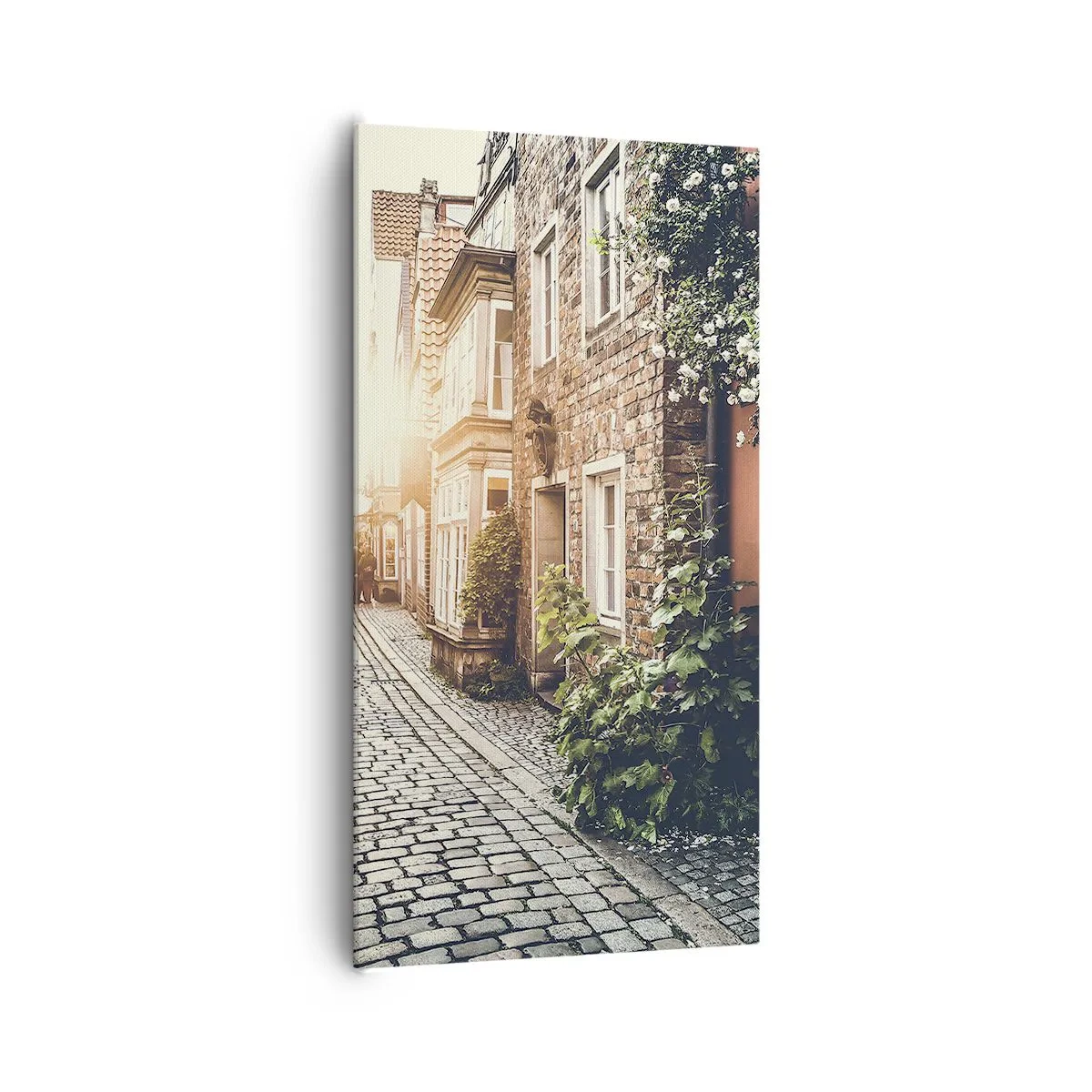 Quadro em tela - Beco rosa em brilho rosa - 65x120 cm