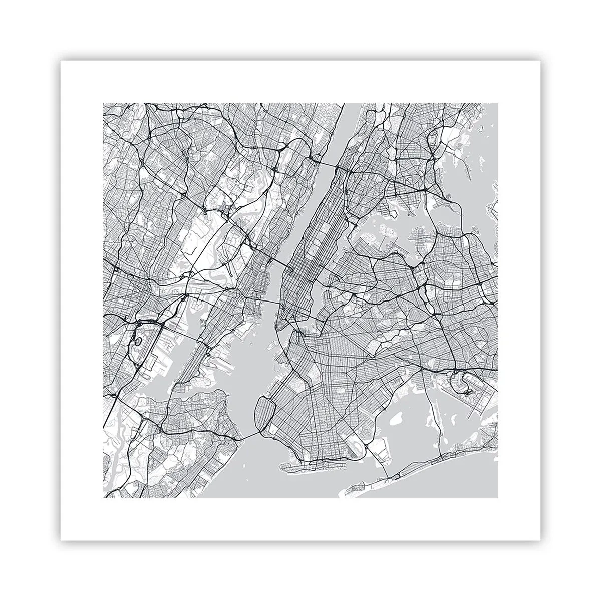 Pôster - Anatomia de uma metrópole - 40x40 cm