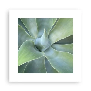 Pôster - O nascimento da vegetação - 30x30 cm