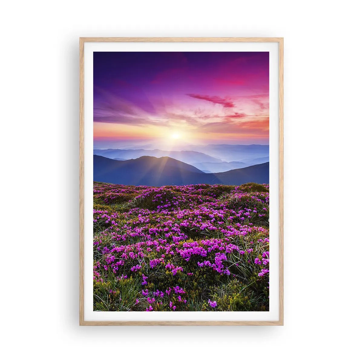Pôster com moldura de carvalho claro - Campo cheiroso - 70x100 cm