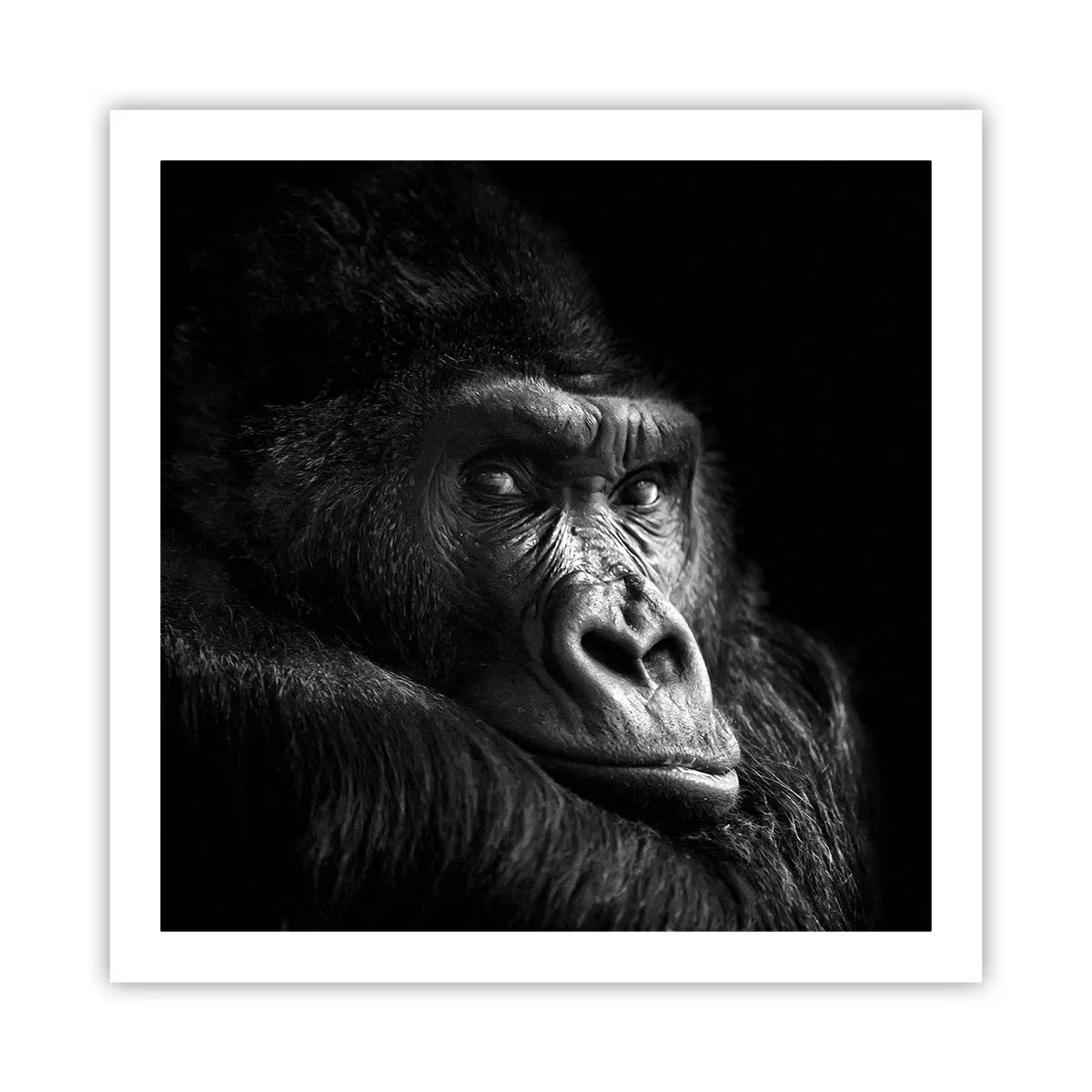 Pôster - E para que é que estás a olhar? - 60x60 cm